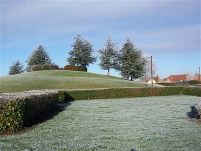 Picture 10